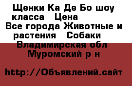 Щенки Ка Де Бо шоу класса › Цена ­ 60 000 - Все города Животные и растения » Собаки   . Владимирская обл.,Муромский р-н